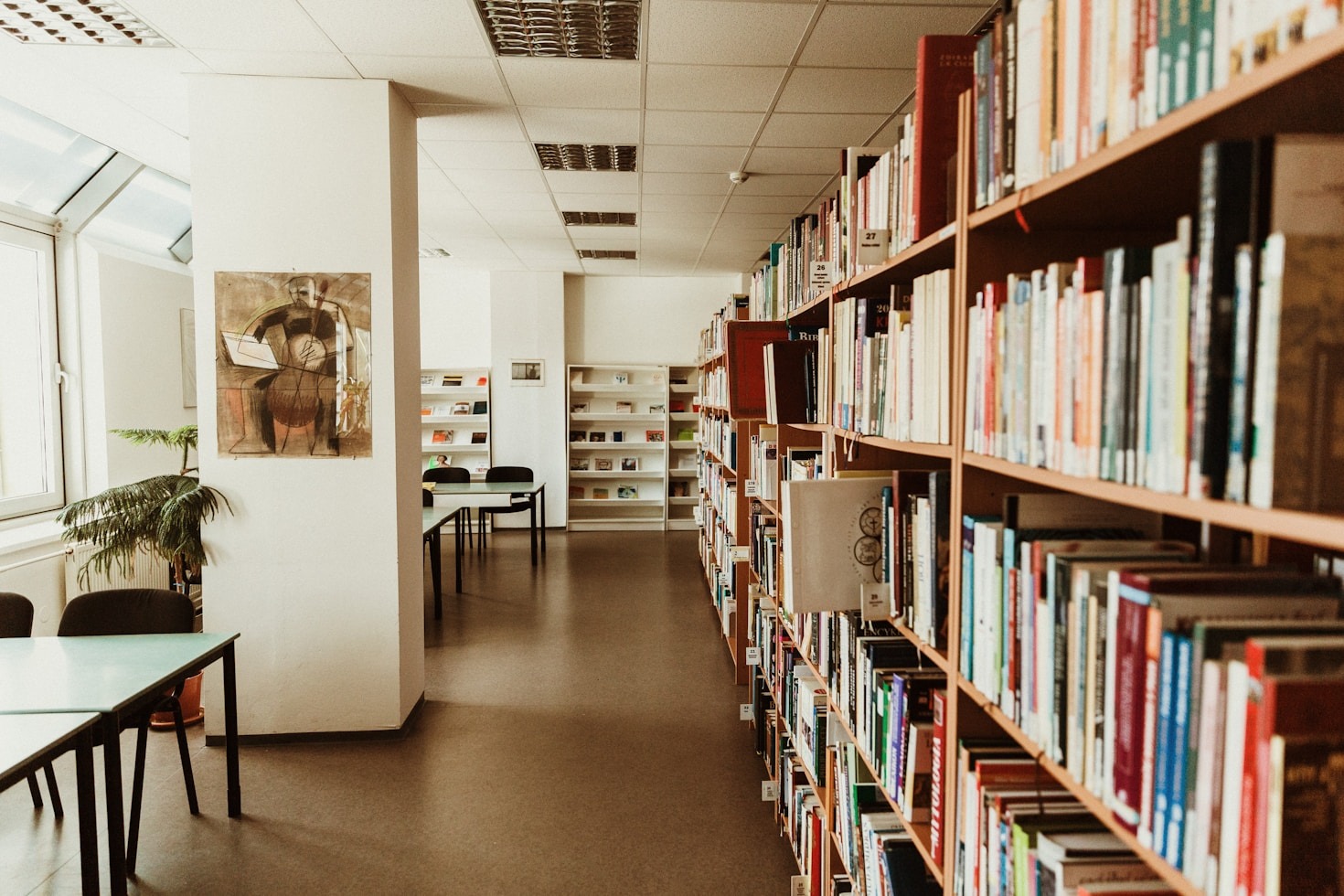 Los mejores libros para empezar a leer en grupo